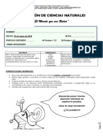 Evaluación Ciencias Naturales