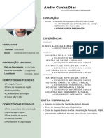 CV- André Cunha Dias