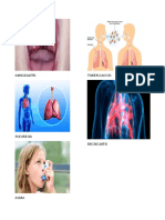 Imagen 2h 4xh - Enfermedades Del Sistema Respiratorio