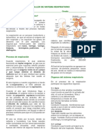 Taller de Sistema Respiratorio