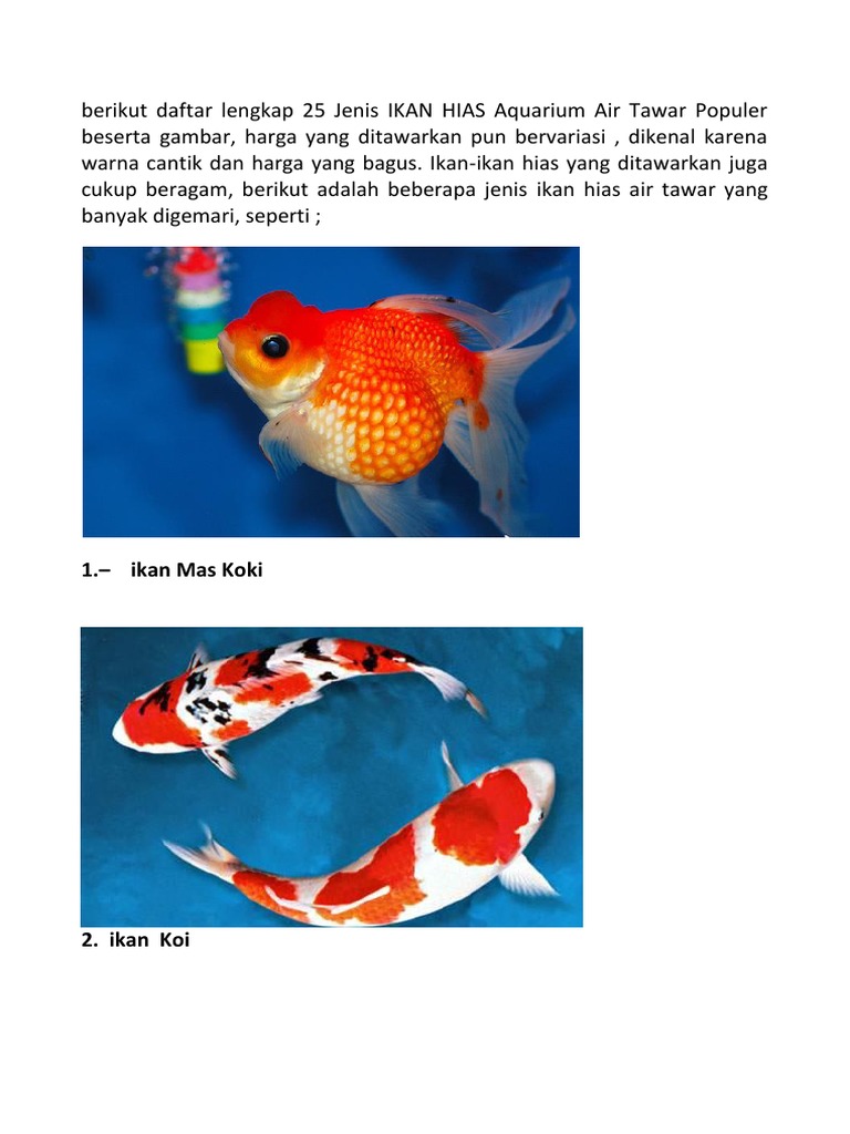 Ikan Hias