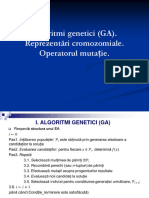 Ghid Elaborare Proiect Practica INFORMATICA