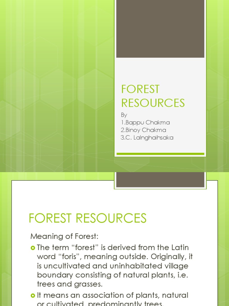 Understanding Forest Resources and Deforestation | PDF | Home & Garden ...