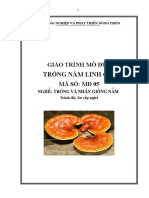 GT Mo Dun 05 Trong Nam Linh Chi