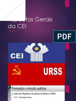 Aspectos Gerais Da Cei