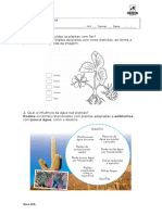 Ncsi5 Recup 17 Biodiversidade