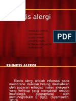 Rinitis Alergi