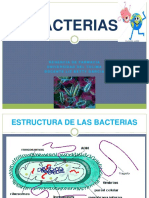 Bacterias Biologia 2 Clase 2016