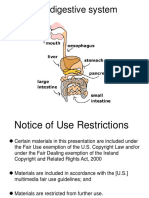 The Digestive System