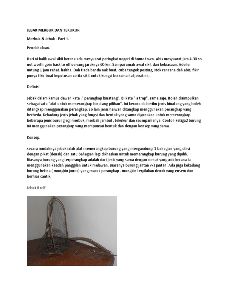 Jebak Merbuk Dan Tekukur