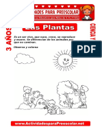 Las Plantas para Niños de 3 Años