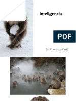 Clase 9 Inteligencia PDF