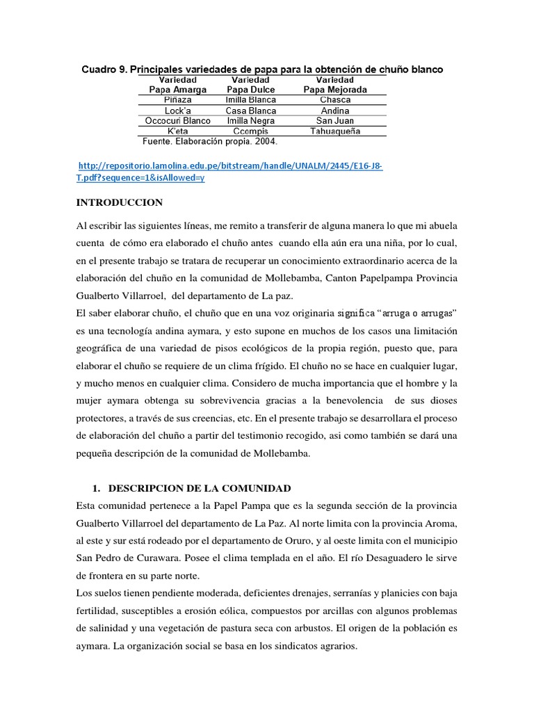 Proceso de Elaboración del Chuño Aymara | PDF | Patata | Naturaleza