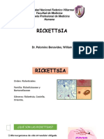 Rickettsia