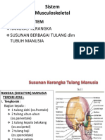 5a.sistem Musculoskeletal Rangka