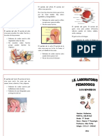 102856481-Triptico-Los-Sentidos.docx