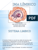 Sistema límbico: funciones y enfermedades