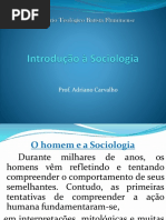 Introdução à Sociologia- Seminário