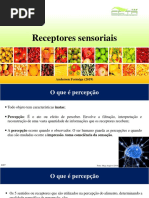 Aula - Receptores Sensoriais