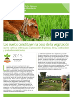 Arti Culo Los Suelos Constituyen La Base de La Vegetacio N PDF