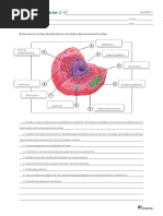 Cie 8 - Unidade 1_resposta