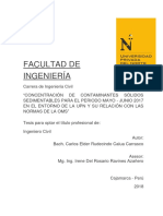 Calua Carrasco Carlos Elder Rudecindo PDF