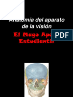 Anatomia de La Vision