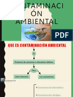 Contaminación Ambiental