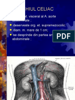 TRUNCHIUL CELIAC_0.ppt