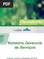 Relatório Anual - 2018 PDF