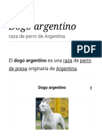 Dogo Argentino 