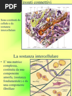 Lezione 3 Tessuti Connettivi 05-11-10