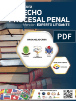 Derecho penal procesal