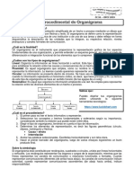 Organigrama tipos procedimiento