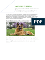 Información Sobre El Perro