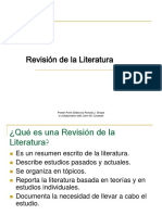 Revisión de La Literatura