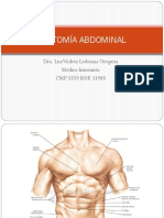 ANATOMÍA ABDOMINAL DRA LUZ LEDESMA