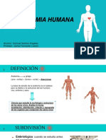 Anatomia Humana