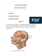 Musculos_Masticadores.pdf