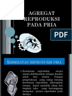 Agregat Reproduksi Pada Pria-1