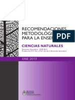 Recomendaciones Metodologicas Naturales 2014