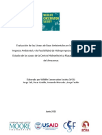 Analisis Lineas Base Hidroproyectos Loreto Peru WCS