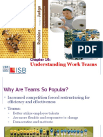 Chapter 10 Understand Work Teams