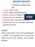 Eye & Ear Students 2015a 0