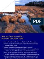 Estuaries: A Brief Introduction To Natural and Human-Induced Processes in Estuaries