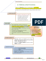  Esquema Tribunal Constitucional