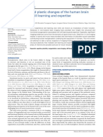 Reorganization and Plastic Changes of The Human Brainassociated With Skill Learning and Expertise