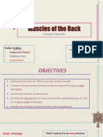 5.Muscles of the Back.pdf