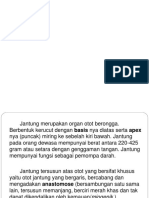 Anatomifisiologijantung 190313023716