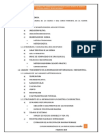 Estudio Hidrologico Illanya (IRRIGACIONES) Ciclo Cero PDF